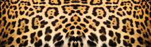 Load image into Gallery viewer, Orion mPulse® Vinyl Skins