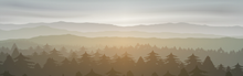 Load image into Gallery viewer, Orion mPulse® Vinyl Skins