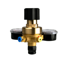Load image into Gallery viewer, Argon Mini®  Regulator